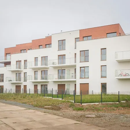 Arte, Sloneczna Polana, Myweek *