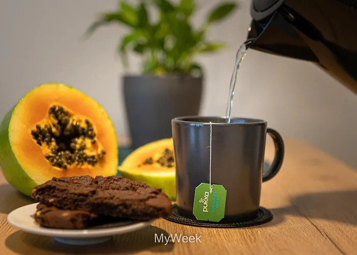 Arte, Sloneczna Polana, Myweek *